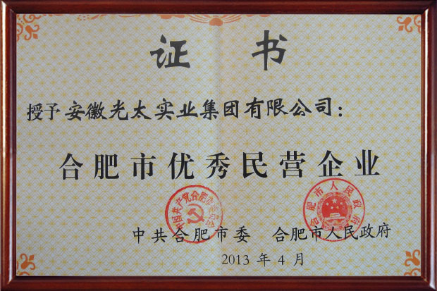 合肥市优秀民营企业